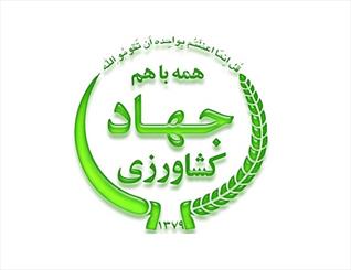 جلوگیری از تغییر کاربری غیر مجاز اراضی شالیزاری در گیلان امری ضروری است