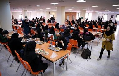 حذف ارز ترجیحی هزینه تغذیه دانشجویی را به ۵۰ همت افزایش داد
