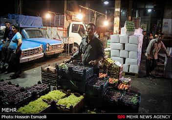 آغاز برخورد با دلالان میوه در میدان مرکزی تره بار تهران