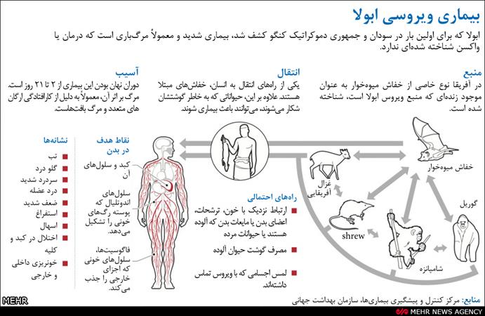 همه‌چیز درباره خطرناک‌ترین‌ویروس‌دنیا/اینفوگرافی