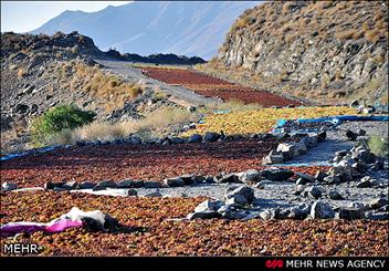 شناسایی و ثبت ۲۰۰ اثر تاریخی در بوانات انجام شد