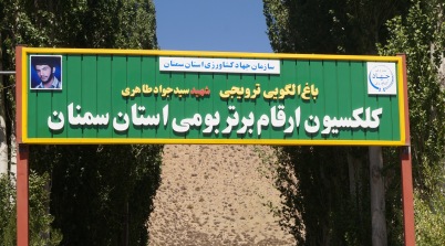 احداث باغ کلکسیون ارقام با ژنوتیپ های برتر و بومی استان سمنان آغاز شد