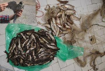 کشف 104 قطعه ماهی بومی از ماهیگیران غیرمجاز در خداآفرین/ رهاسازی عقاب و جغد در عجب شیر و مرند