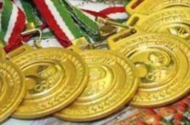 Iran’s gold now exceeds 10: Incheon Para Asiad



