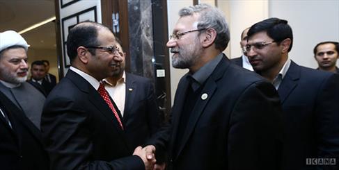 Iran to stand by Iraq in fighting terrorism: Larijani