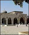 حماس تدعو إلى النفير العام نصرة للمسجد الأقصى المبارك