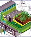 پشت بام های پوشیده از گیاهان شهرها را خنک می کنند