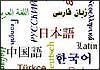 انسان از دوران جنینی زبانهای مختلف را می آموزد