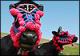 Turkish tribes Decorate Cows- Photo
