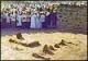 تظاهرات شيعية في المنطقة الشرقية في السعودية بعد احداث مقبرة البقيع