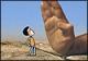 انیماتور نامزد اسکار فیلمی درباره مصائب مردم غزه ساخت