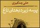 "پرسه زیر درختان تاغ" منتشر شد