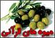 زیتون؛ میوه‌ای که خداوند به آن سوگند یاد کرده است