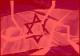 إسرائيل تعترف بصدق نصرالله في تصريحاته حول عملية انصارية