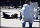 مقتل وإصابة 177 شخصاً في هجومين بالنرويج