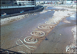 هنرمندان شیرازی ابتکار خود را در رودخانه خشک به نمایش گذاشتند