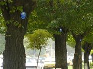 ریه های بیولوژی شهر همدان احیا شود/ سرمایه گذاری 1000 میلیارد تومانی در همدان