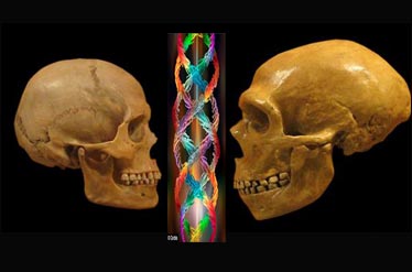 ارتباط سرطان و ایدز با ویروسهای باستانی انسانهای اولیه ...